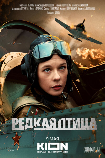  Редкая птица 